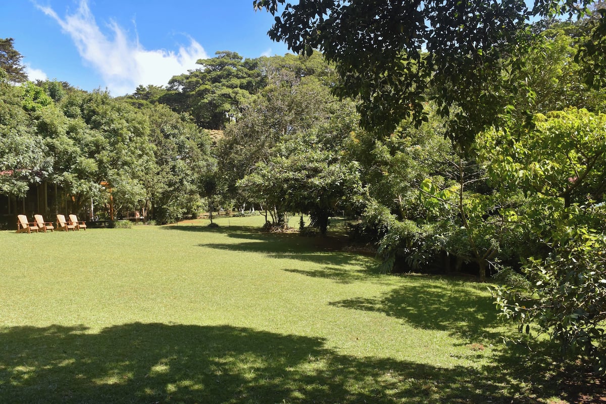 Garden view