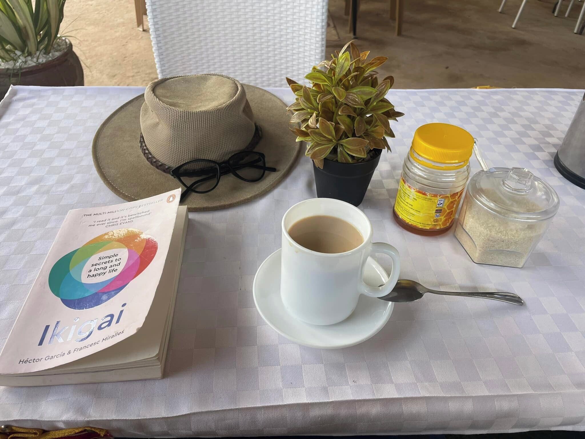 Una mesa con un libro, un sombrero, una planta, un tarro de miel, una taza de café y una cuchara.