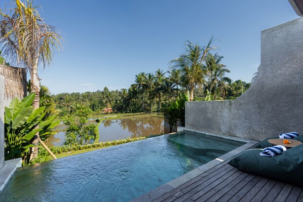 Pool - Subu Utamas Villas (Payangan)