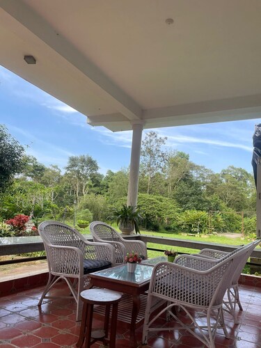 The Grand Oak By TERASTAY