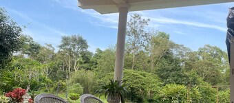 The Grand Oak By TERASTAY