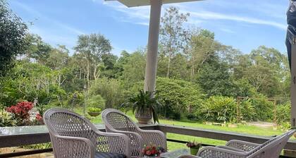 The Grand Oak By TERASTAY