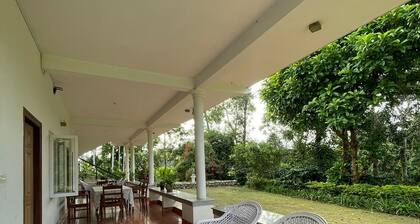 The Grand Oak By TERASTAY