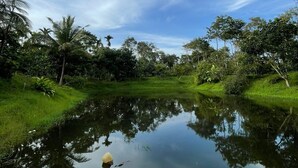 A calm pond surrounded by lush greenery and trees under a clear sky. - The Grand Oak By TERASTAY (Virajpet)