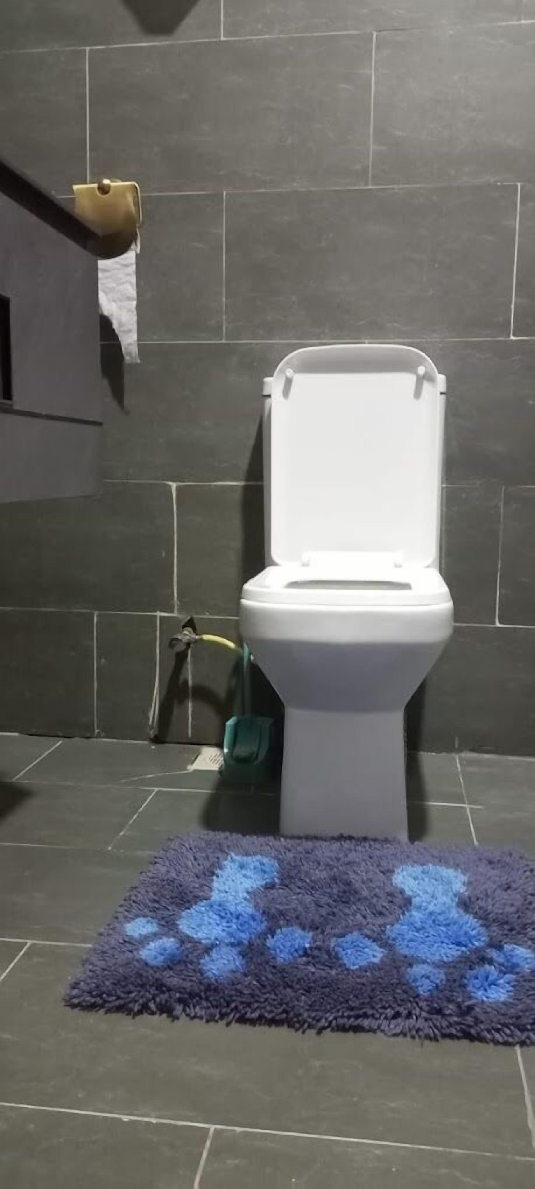 A bathroom with a white toilet, dark tiled walls, and a blue patterned rug on the floor.