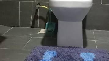 A bathroom with a white toilet, dark tiled walls, and a blue patterned rug on the floor.