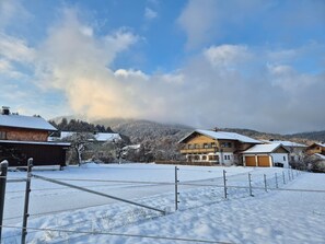 Terrain de l’hébergement 