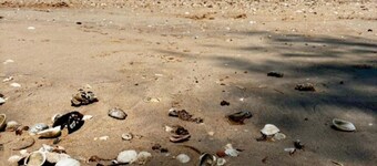 Aoonilay Resort Chaam-Huahin Zone B