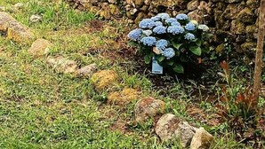 House, 2 Bedrooms, Patio, Garden View | Garden - Vive una Escapada Rural con Alma, Cerca de Todo y Lejos del Ruido (Cerdedo-Cotobade)
