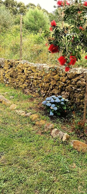 House, 2 Bedrooms, Patio, Garden View | Garden