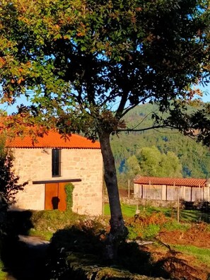 Casa, 2 dormitoris, pati, vistes al jardí | Exterior