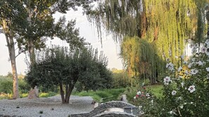 Un pont de pierre enjambant un étroit canal, entouré d’une végétation luxuriante et de plantes en fleurs.
