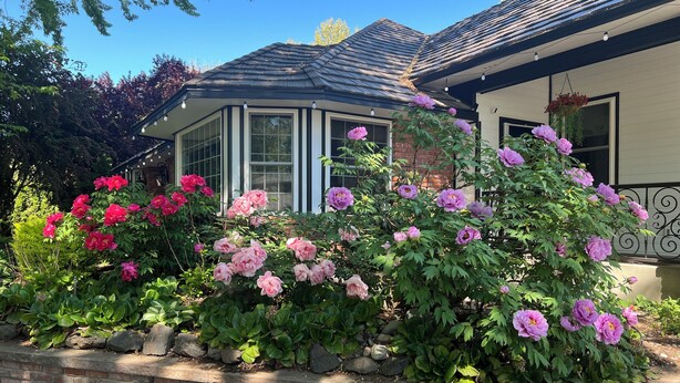 Une maison avec un parterre de fleurs en briques, une véranda et une variété de plantes à fleurs.