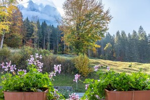 Een tuin met bloeiende planten en uitzicht op een bebost berglandschap.