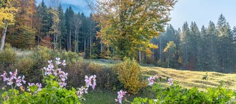 Apartment 'Maria Grasegger' with Mountain View, Balcony and Wi-Fi