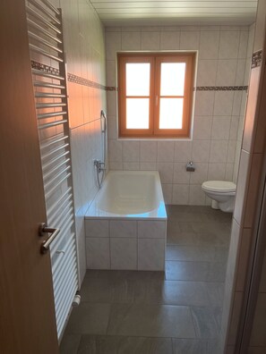 Shower, hair dryer
