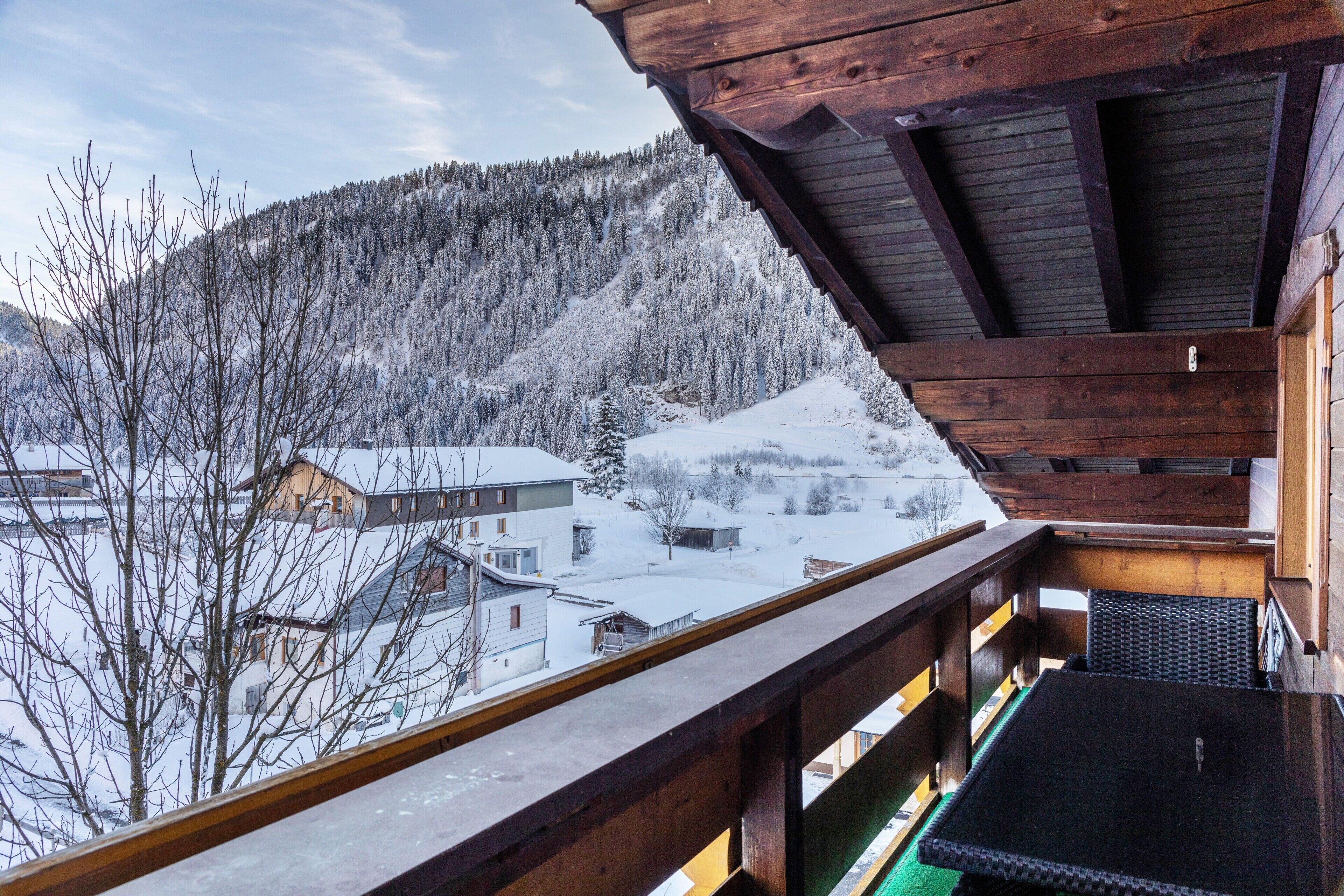 Área da propriedade