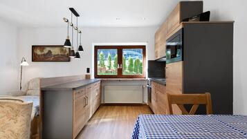 KĂŒhlschrank, Mikrowelle, Ofen, Herdplatte