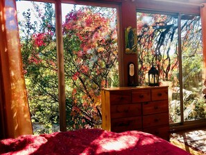 Desk, WiFi, bed sheets
