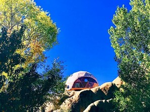 Exterior - Rejuvenating Tree House Getaway with Pool Access in Prescott, Arizona (Prescott)