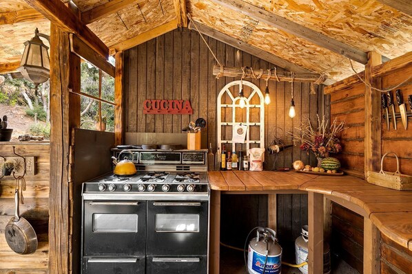 Fridge, microwave, stovetop, coffee/tea maker