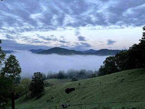 A rural landscape with rolling hills, a mist-covered valley, and a line of trees. - Luxury Vacation Rental with a Hot Tub for Rent in Clyde, North Carolina (Clyde)