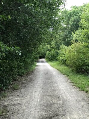 Miscellaneous - The Casa Estiva- A Restful Getaway in the Forest in Weatherford, TX (Weatherford)