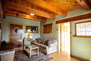 TV - Spacious Cabin Rental with Beautiful Mountain Views near Pinos Altos, New Mexico (Silver City)