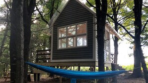 Une cabane dotée d’une grande fenêtre, entourée d’arbres, et un hamac devant.