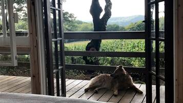 A wooden deck with a view of a tree and a field.