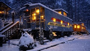 A snow-covered train car with 'Family Lines System' and 'SCL 0887' visible, surrounded by snow-laden trees.