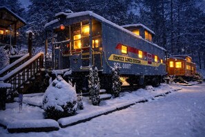 A snow-covered train car with 'Family Lines System' and 'SCL 0887' visible, surrounded by snow-laden trees.