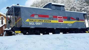 Een trein met 'FAMILY LINES SYSTEM' en 'SCL 0887' op de zijkant.