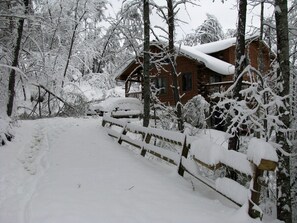 A wooden cabin surrounded by snow-covered trees.