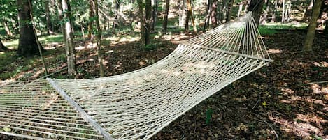Una hamaca en un bosque.
