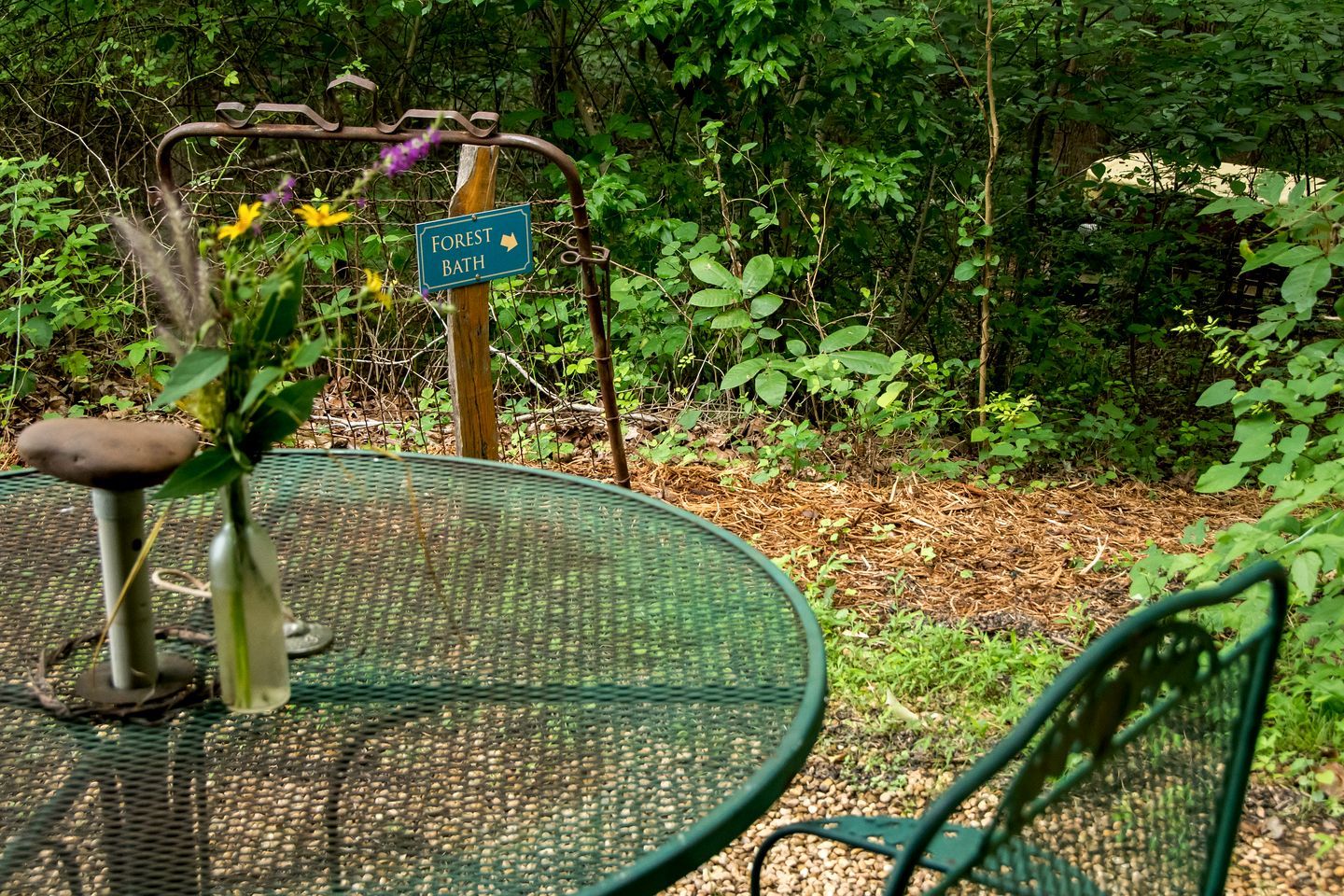 Un tavolo in metallo verde con una sedia, un cartello stradale con la scritta 'FOREST BATH' e uno sfondo naturale di alberi e vegetazione.