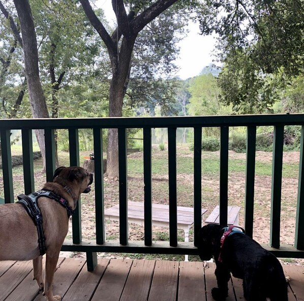 Enceinte de lâhĂ©bergement