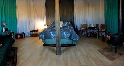 Romantic Camping Yurt on Camel Farm near Alamosa, Colorado