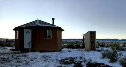 Romantic Camping Yurt on Camel Farm near Alamosa, Colorado