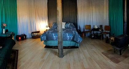 Romantic Camping Yurt on Camel Farm near Alamosa, Colorado
