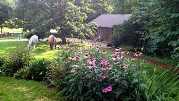 Overnatningsstedets område