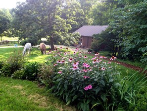 Overnatningsstedets område