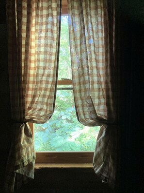 A window with checkered curtains partially drawn, revealing a view of greenery outside. - Beautiful Waterfront Cabin with Hot Tub near Winston-Salem, North Carolina (Elkin)
