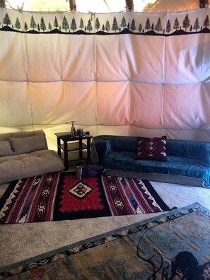 TV, fireplace, DVD player, video library