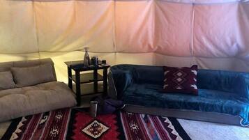 电视、壁炉、DVD 播放器、影片库