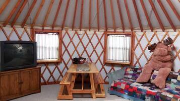 電視、壁爐、DVD 播放機、影像庫