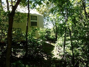 A yurt with a window, surrounded by dense forest.