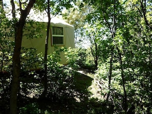 Una yurta con ventana, rodeada de un bosque denso.