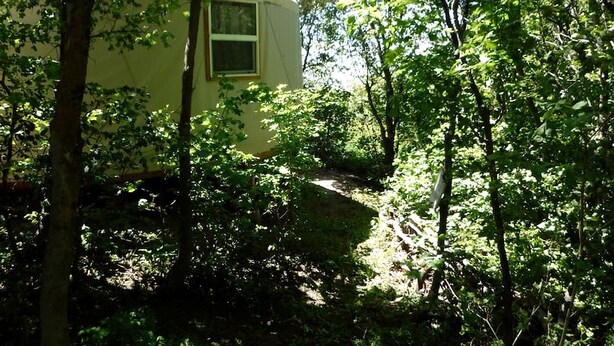 A yurt with a window, surrounded by dense forest. - Secluded Cozy Yurt for Luxury Camping near Pocatello, Idaho (Pocatello)