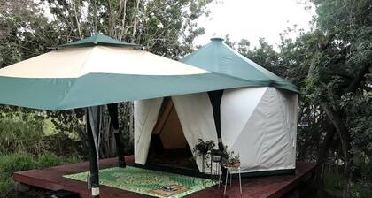 Lovely Glamping Tent for Three with a Shared Pool near Lakeside, California